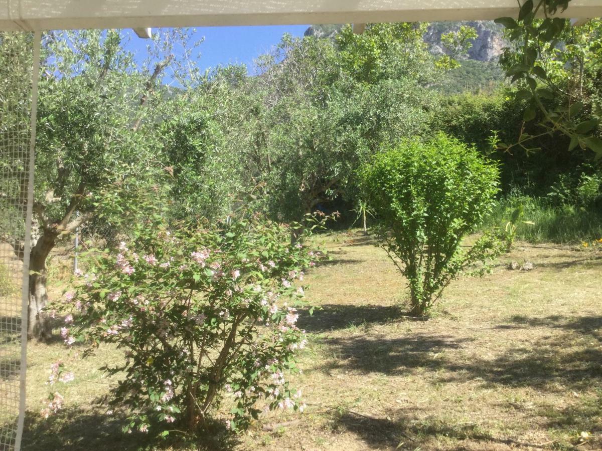 The Cabin, Kyparissia Exterior photo